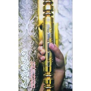 فدائیان ولایت