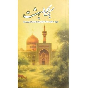 کتاب یک تکه از بهشت اثر جمعی از نویسندگان انتشارات شهید ابراهیم هادی